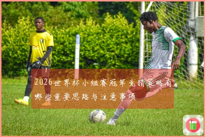 2026世界杯小组赛冠军竞猜策略有哪些重要思路与注意事项