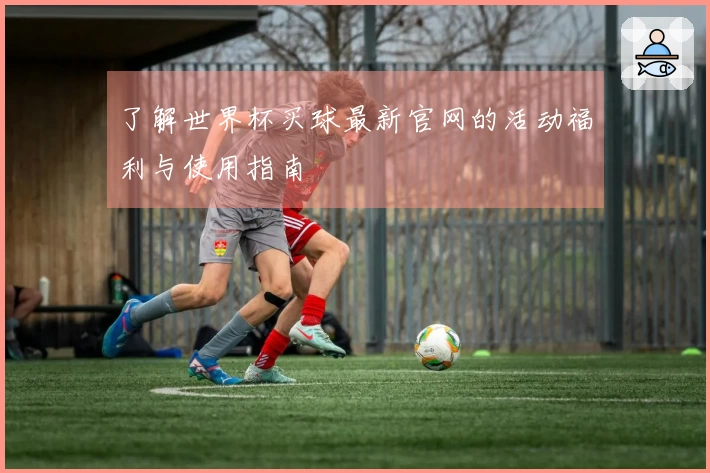 了解世界杯买球最新官网的活动福利与使用指南