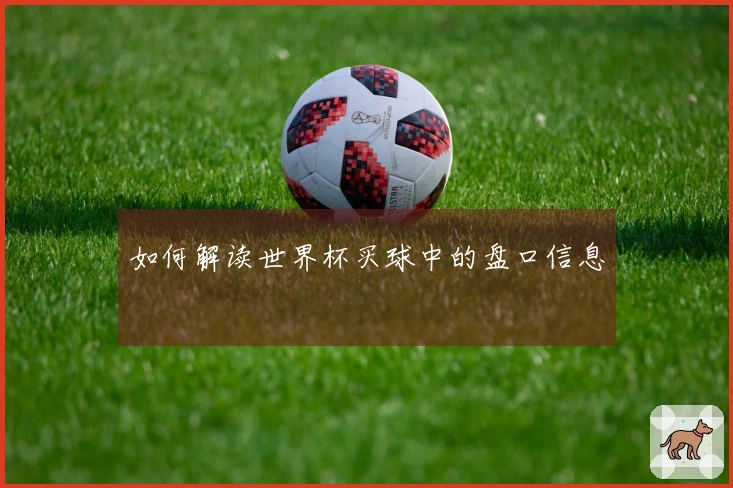 如何解读世界杯买球中的盘口信息