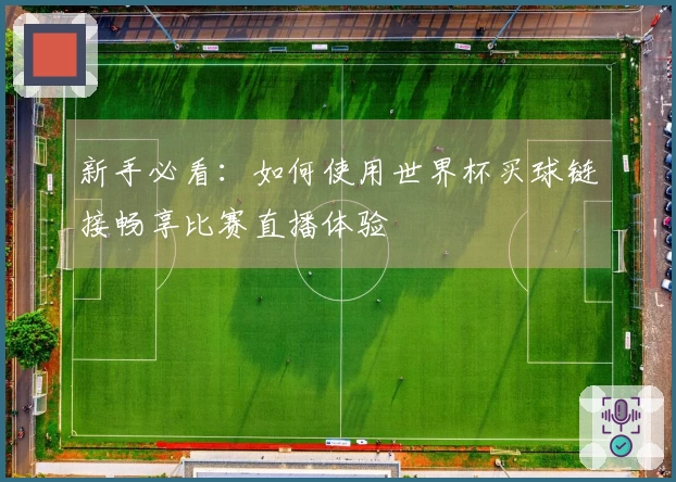 新手必看:如何使用世界杯买球链接畅享比赛直播体验