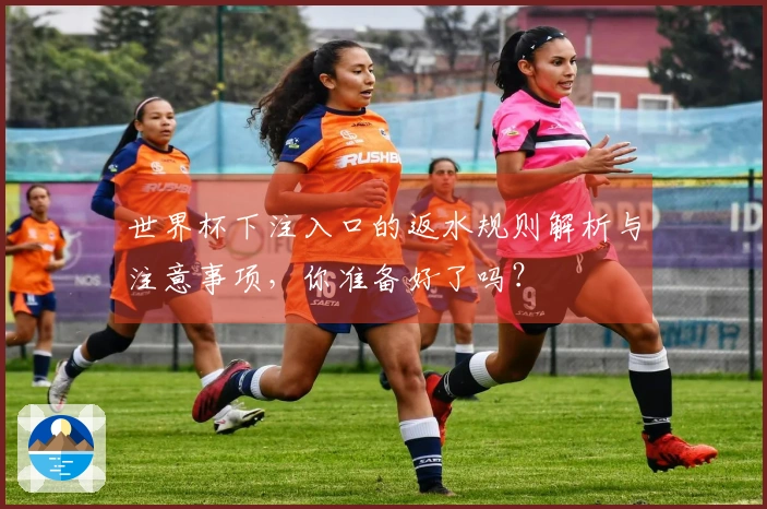 世界杯下注入口的返水规则解析与注意事项，你准备好了吗？