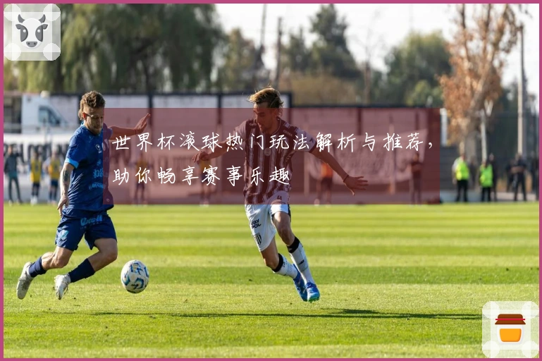 世界杯滚球热门玩法解析与推荐，助你畅享赛事乐趣