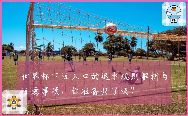 世界杯下注入口的返水规则解析与注意事项，你准备好了吗？