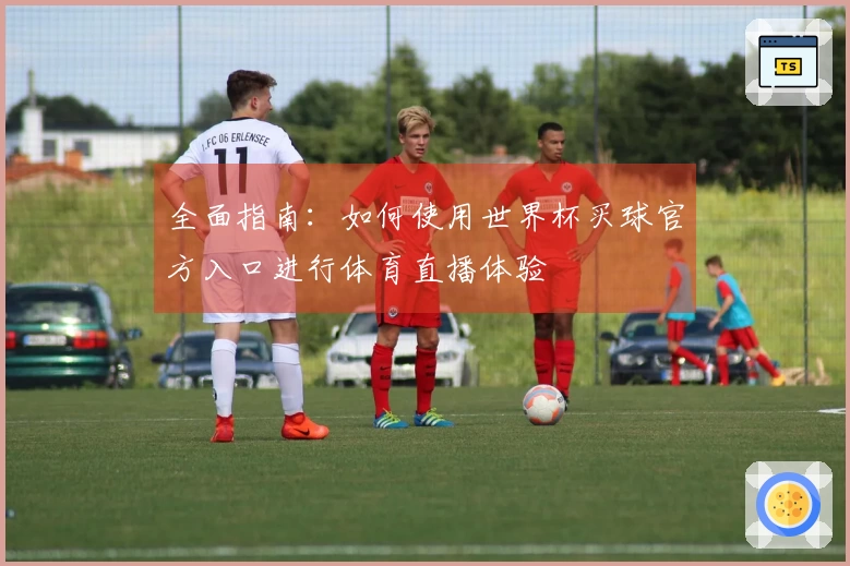 全面指南：如何使用世界杯买球官方入口进行体育直播体验