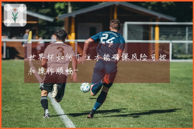 世界杯如何下注才能确保风险可控和操作顺畅-
