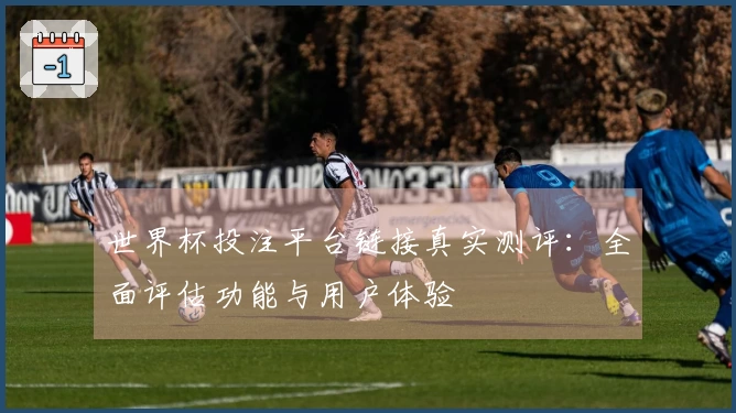 世界杯投注平台链接真实测评:全面评估功能与用户体验